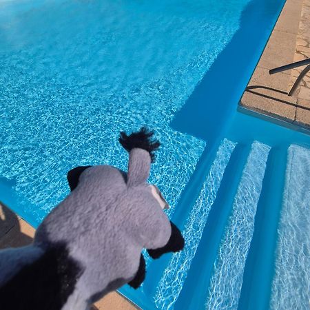 Havre De Paix Appart Climatise,Piscine,Wifi Le Barcares Ngoại thất bức ảnh