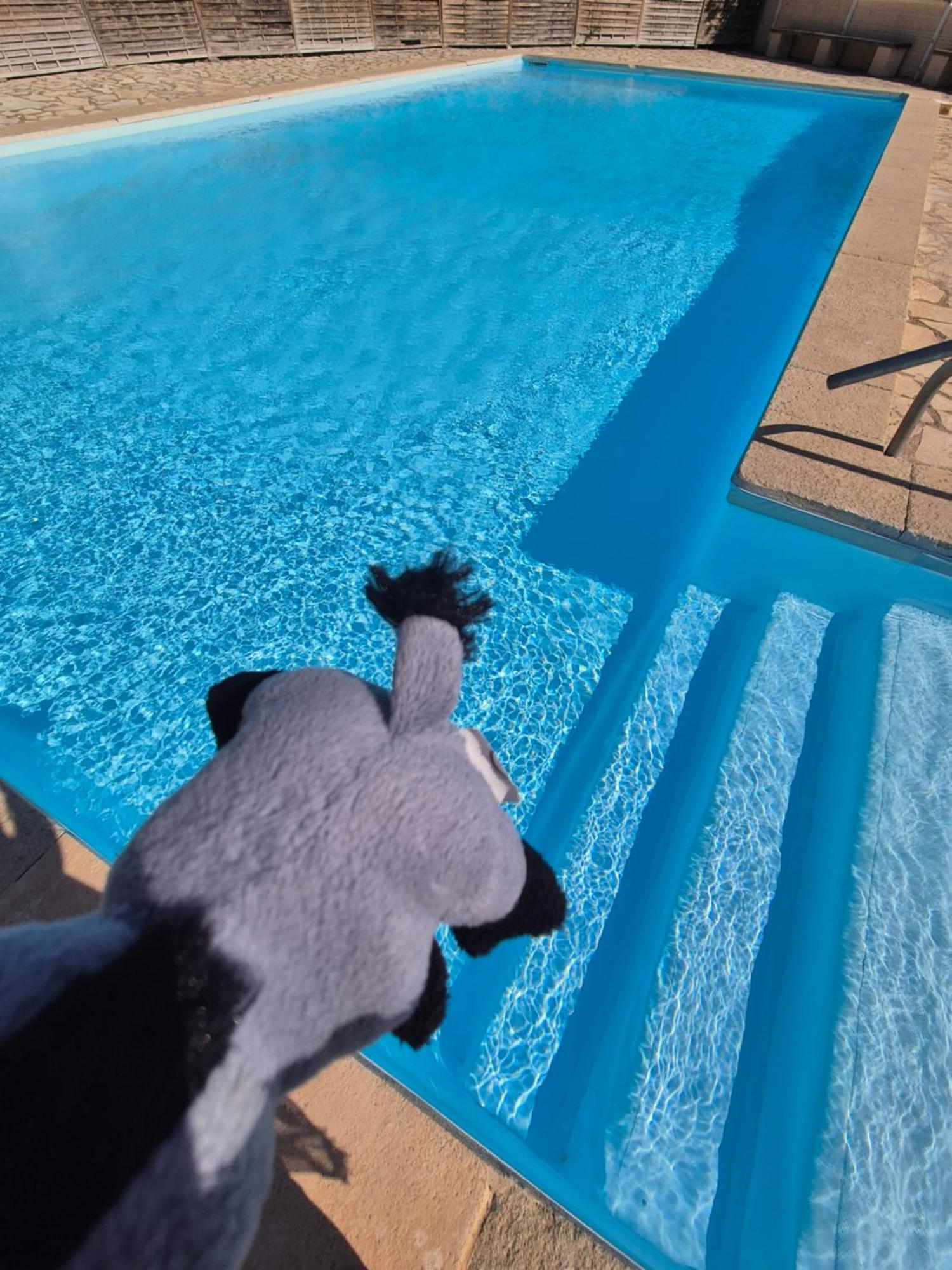 Havre De Paix Appart Climatise,Piscine,Wifi Le Barcares Ngoại thất bức ảnh